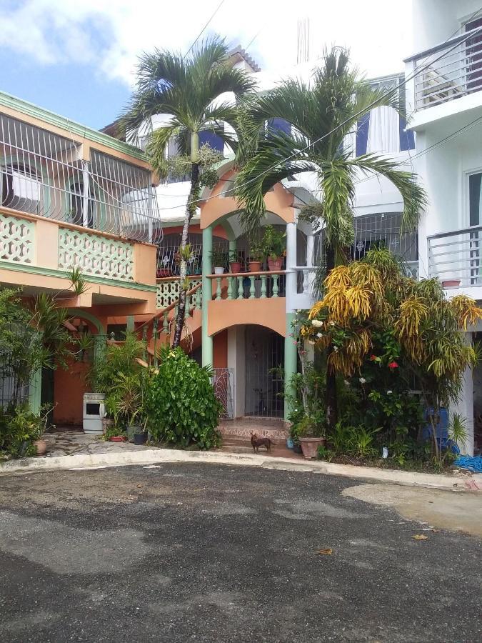 Room In Guest Room - Best Bed And Breakfast In Samana Breakfast Included Buitenkant foto